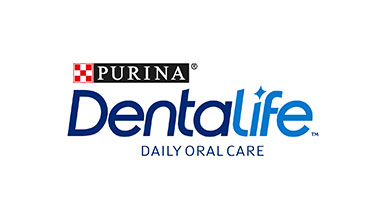 Dentalife